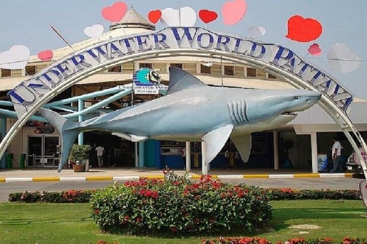 Pattaya Underwater World Aquarium Tickets — 100m Tunnel, Touch Pool & Marine Zones photo 5