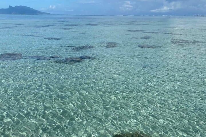 Private Sunset Cruise in Tahiti: Romantic Proposal & Celebration Tour photo 5