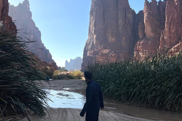 Wadi Al Disah 4x4 Adventure from AlUla — Day Trip to Cliffs, Springs & Palm Groves
