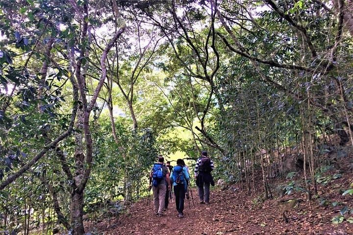Inca Jungle Trail to Machu Picchu - 4-Day Biking, Rafting & Hike from Cusco photo 5