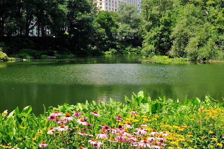 Central Park Scenic Walk with Local Guides — 2-Hour Licensed NYC Tour photo 2