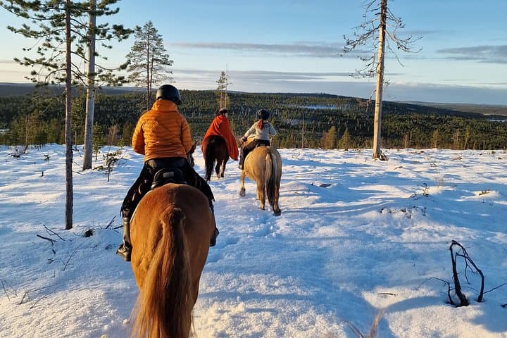 Lapland Horse Ride to the Snowy Hill: Winter Trail at Ranch Kuulas photo 4