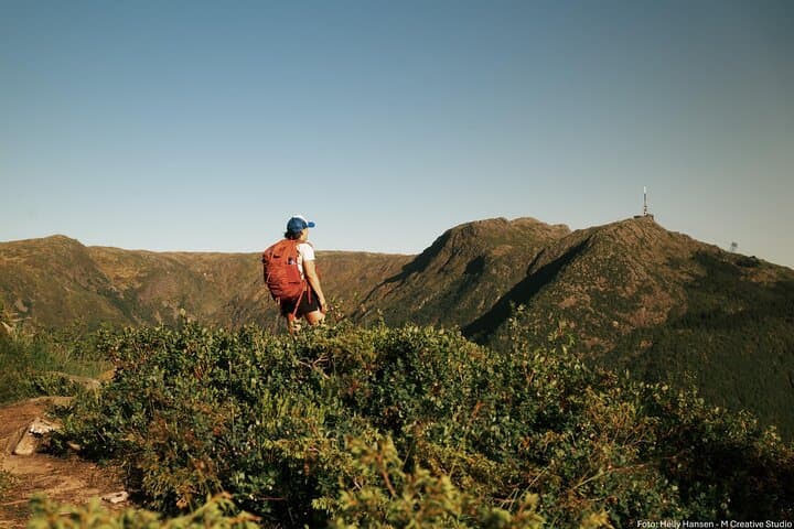 Private Mt. Fløyen Hike Above Bergen: Fjord Views and Forest Trails