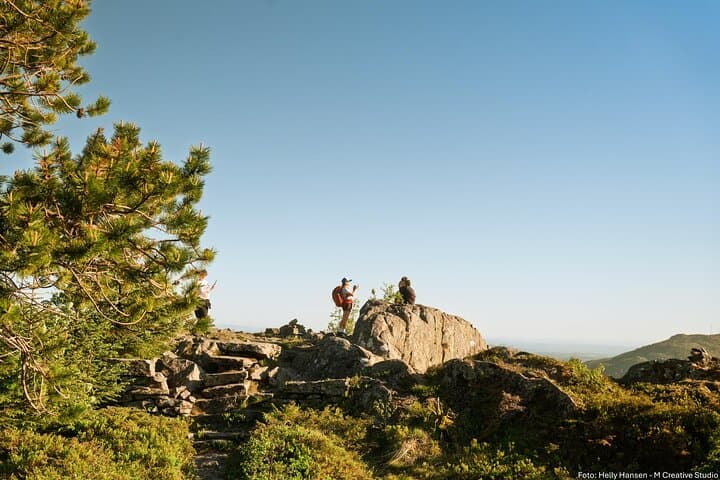 On Top of Bergen: Hiking Hidden Trails Above Norway’s Fjord City photo 6