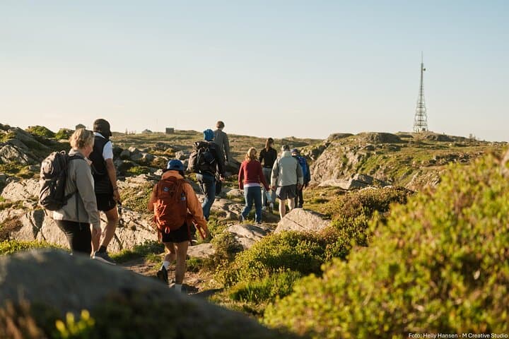 Private Mt. Fløyen Hike Above Bergen: Fjord Views and Forest Trails photo 4