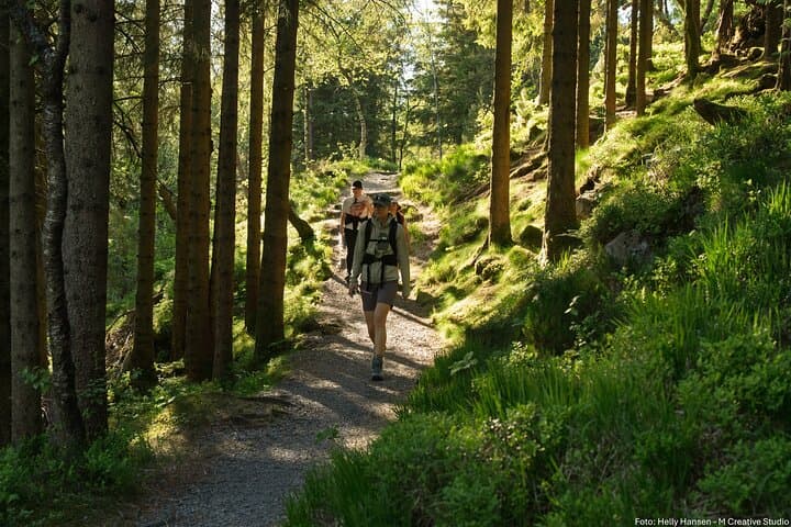 Private Mt. Fløyen Hike Above Bergen: Fjord Views and Forest Trails photo 5