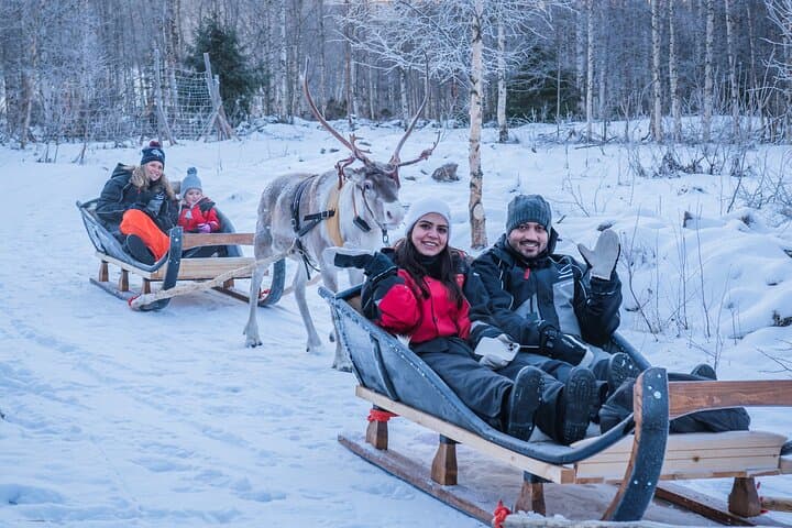 Kuoksa Reindeer Adventure: Reindeer Sleigh Ride Through Rovaniemi's Arctic Forest