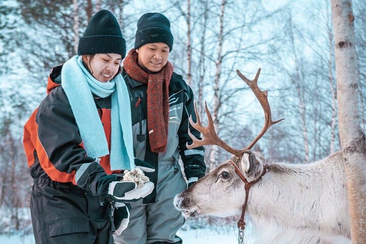 Kuoksa Reindeer Adventure: Reindeer Sleigh Ride Through Rovaniemi's Arctic Forest photo 2