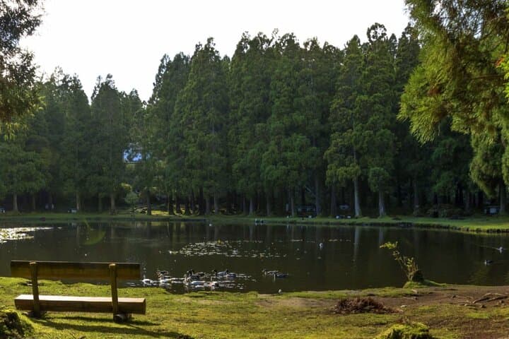 Half-Day Algar do Carvão Lava Route: Explore Terceira’s Visitible Volcanoes photo 2