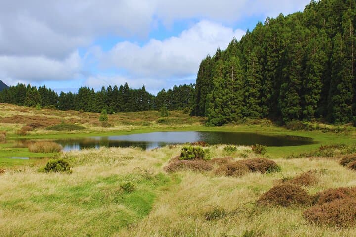 Half-Day Algar do Carvão Lava Route: Explore Terceira’s Visitible Volcanoes photo 3