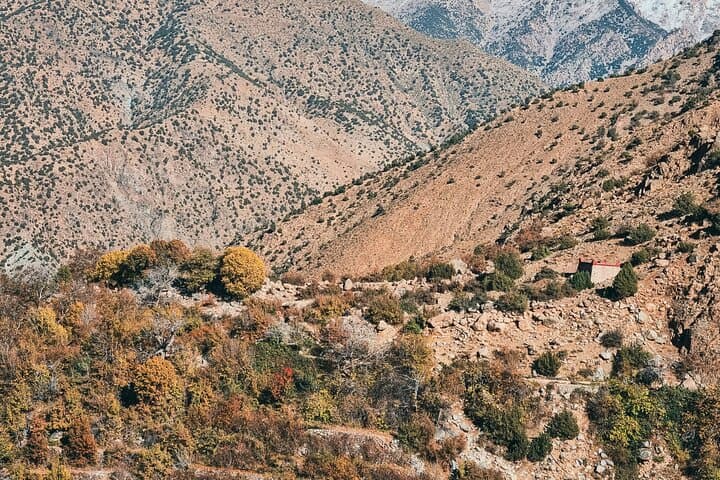 Ourika Valley Day Trip from Marrakech: Setti Fatma Waterfalls & Berber Village photo 2