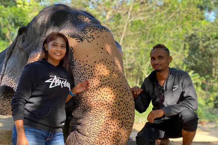 7-Day Sri Lanka Highlights: Culture, Tea Country & Yala Safari photo 4