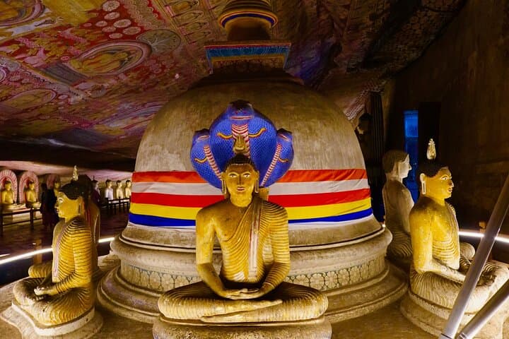 Sigiriya and Dambulla Day Tour from Bentota: Climb Sigiriya Rock & Explore Dambulla Cave Temple photo 4