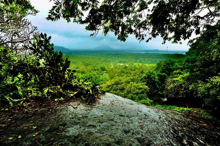 Sigiriya and Dambulla Day Tour from Bentota: Climb Sigiriya Rock & Explore Dambulla Cave Temple photo 5