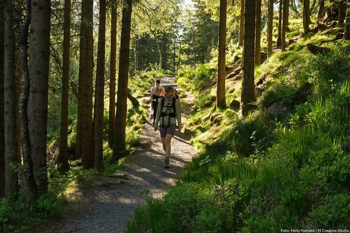 On Top of Bergen: Hiking Hidden Trails Above Norway’s Fjord City photo 5