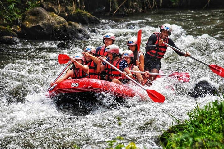 Ayung River White Water Rafting — Bali Day Tour to Tegalalang & Kintamani photo 1