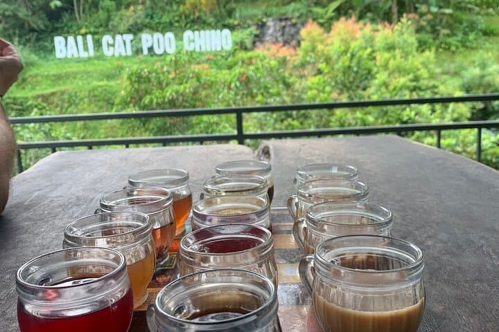 Full-Day Bali ATV and Ayung River Rafting: Ubud Adventure with Coffee Tasting photo 3