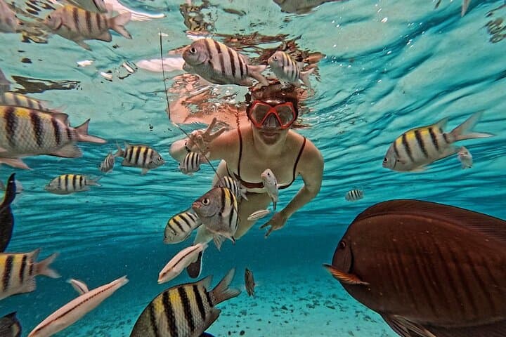 Half-Day Boat Tour to Johnny Cay and El Acuario — San Andrés Island photo 6