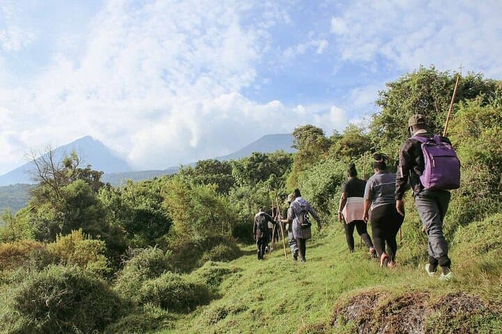 Mount Gahinga Day Hike: Volcano Summit, Bamboo Forest & Wildlife photo 4
