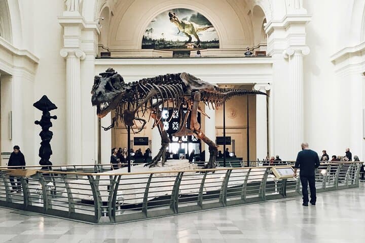 Field Museum Skip-the-Line Private Tour: SUE the T. rex, Mummies & Gems photo 5