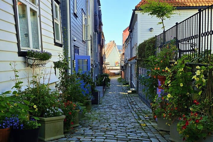 Bergen with a Local: Fløyen Views, Fantoft Stave Church & City Walk photo 5