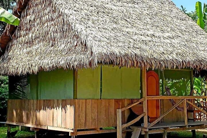 Amazon Paradise Ecolodge: 3-Day Iquitos Jungle Immersion photo 5