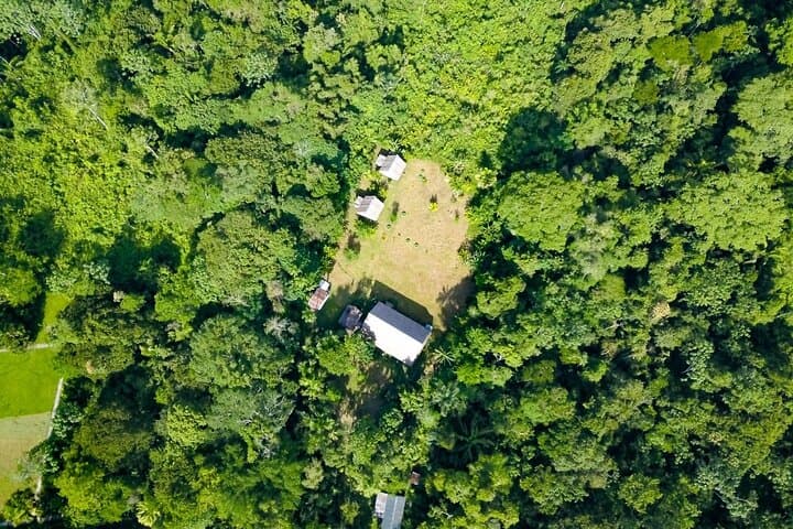Amazon Paradise Ecolodge: 3-Day Iquitos Jungle Immersion photo 6