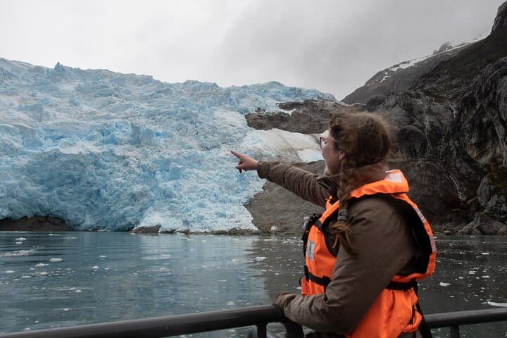 Whales, Penguins & Glaciers: Full-Day Navigation from Punta Arenas photo 4