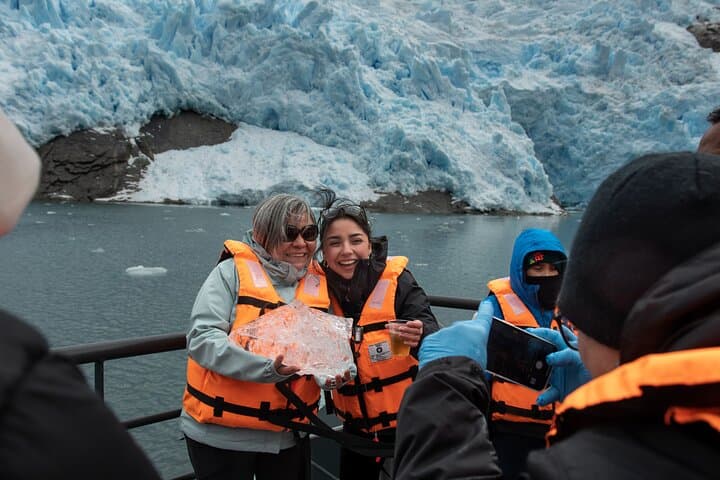 Whales, Penguins & Glaciers: Full-Day Navigation from Punta Arenas photo 3