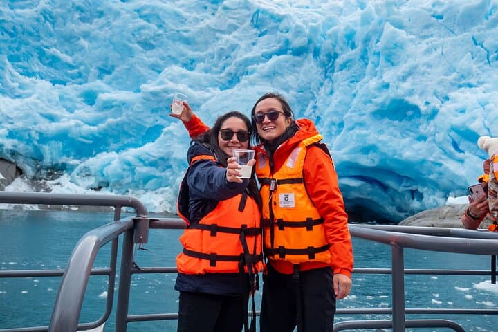 Whales, Penguins & Glaciers: Full-Day Navigation from Punta Arenas photo 2
