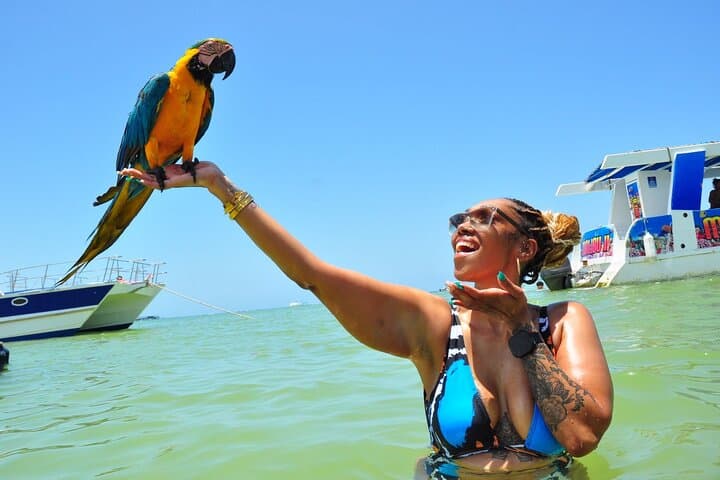 Punta Cana Party Catamaran: Snorkel, Open Bar & Hip-Hop Cruise photo 5