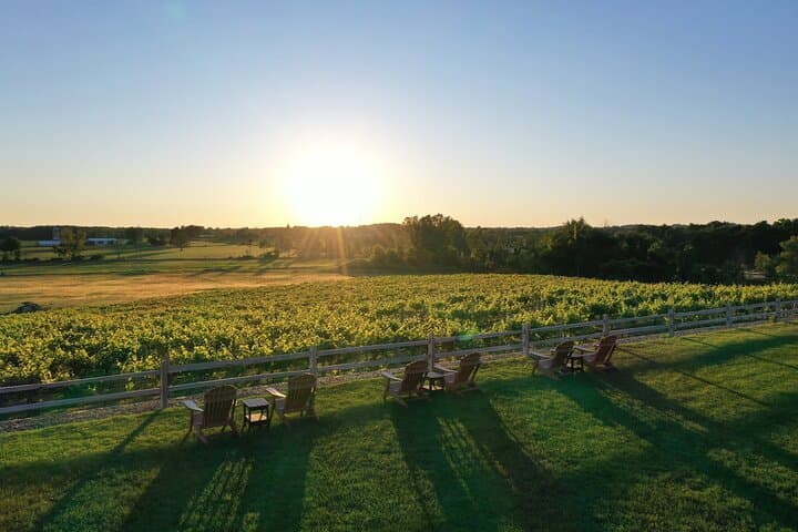 West Michigan Wine & Brewery Day Tour — Rockford and Grand Rapids Tastings