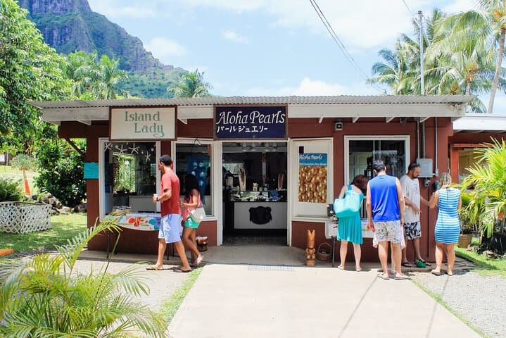 Oahu Highlights Private Tour — North Shore Turtles, Coastal Lookouts & Local Bites photo 2