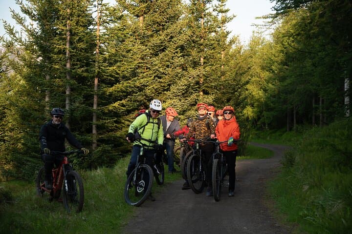 Explore Akureyri by E-Bike: Kjarnaskógur Forest & Forest Lagoon Tour