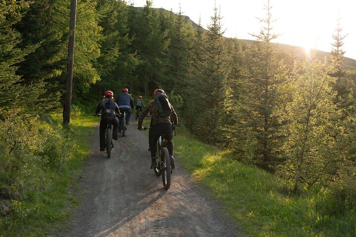 Explore Akureyri by E-Bike: Kjarnaskógur Forest & Forest Lagoon Tour photo 3
