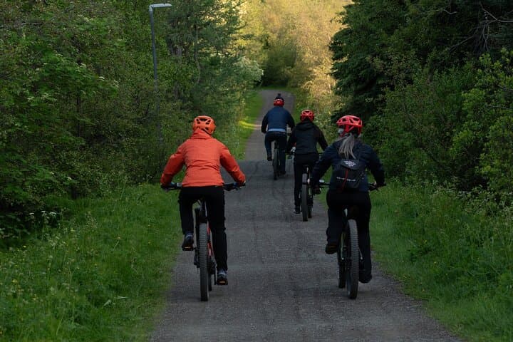 Explore Akureyri by E-Bike: Kjarnaskógur Forest & Forest Lagoon Tour photo 4