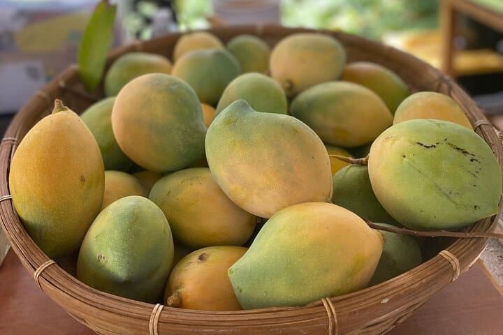 Hidden Mango & Coconut Orchard Tour in Lahaina — Maui Food Forest Experience