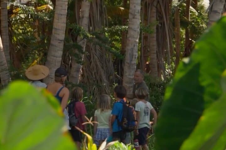 Hidden Mango & Coconut Orchard Tour in Lahaina — Maui Food Forest Experience photo 3