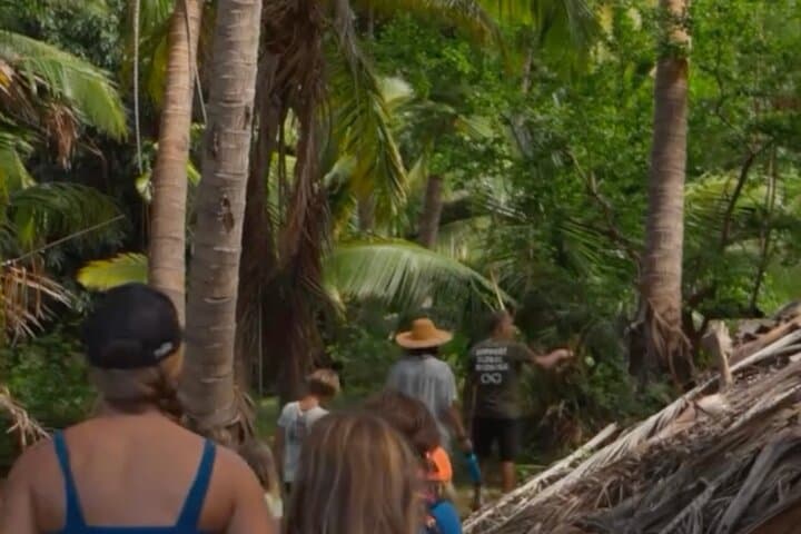 Hidden Mango & Coconut Orchard Tour in Lahaina — Maui Food Forest Experience photo 6