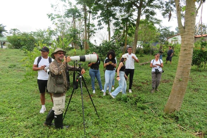 Birdwatching in Turbaco's Tropical Dry Forest — Birding Near Cartagena photo 3
