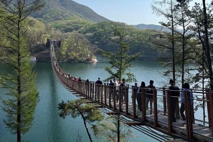 Seoul to the DMZ: Third Tunnel, Dora Observatory & Majang Lake Suspension Bridge Tour photo 5