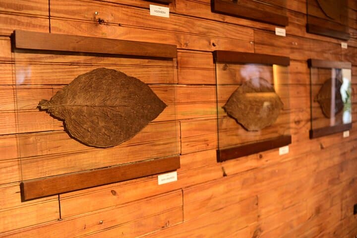 La Aurora Cigar & Rum Pairing — Premium Dominican Sensory Tasting photo 3