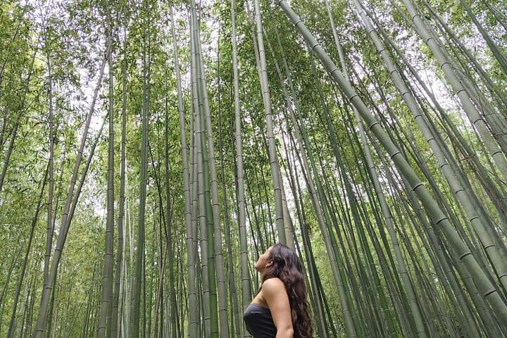 Private Customized Walking Tour in Kyoto — Tailored 4–9 Hour Cultural Walks photo 2
