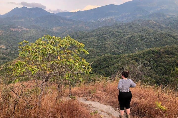 Birdwatching in Minca: Guided Birding Tour in the Sierra Nevada de Santa Marta photo 4