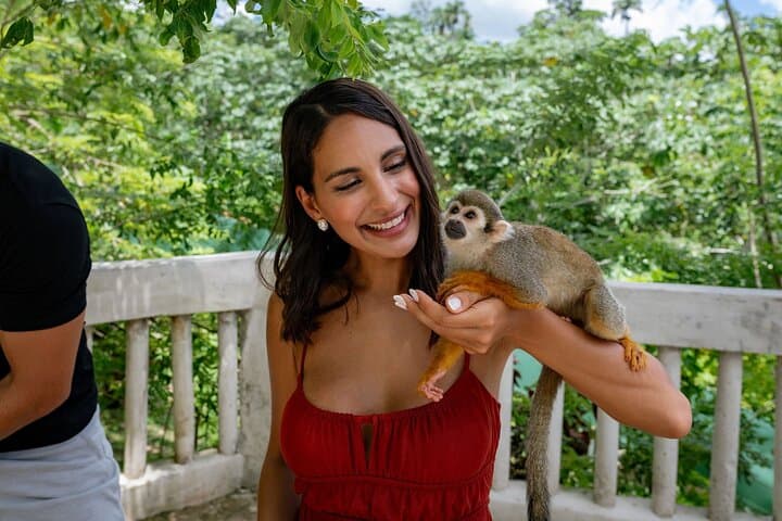 Monkeyland & Coconut Plantation Tour — Punta Cana Jungle Safari