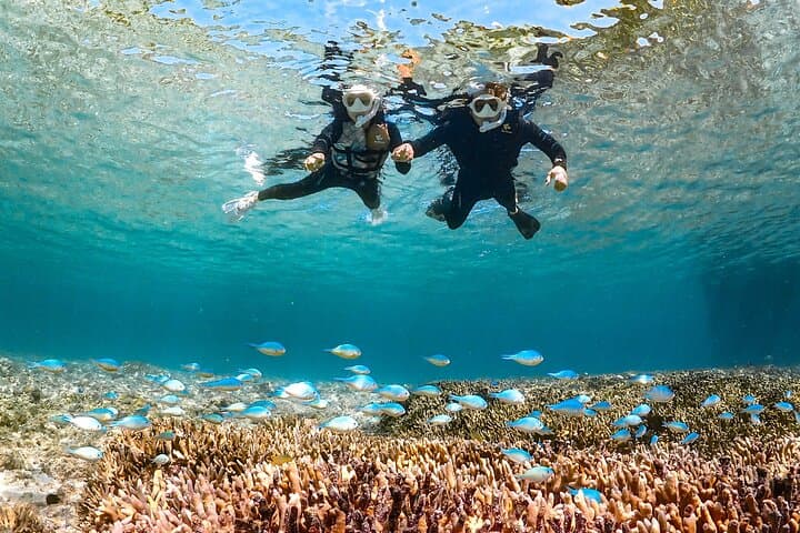 Miyakojima Sea Turtle Snorkeling: High-Probability Turtle Encounters & Coral Reefs photo 2