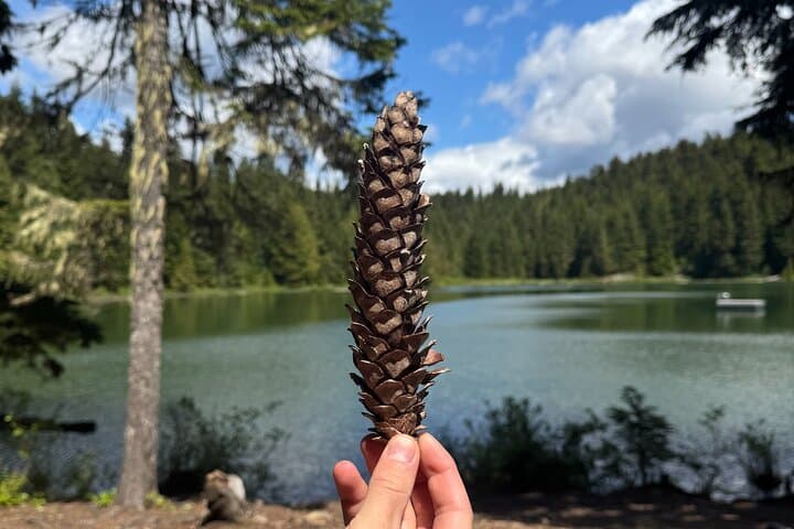 Whistler Nature Walk: Family-Friendly Valley Trail & Lost Lake Guided Tour photo 6