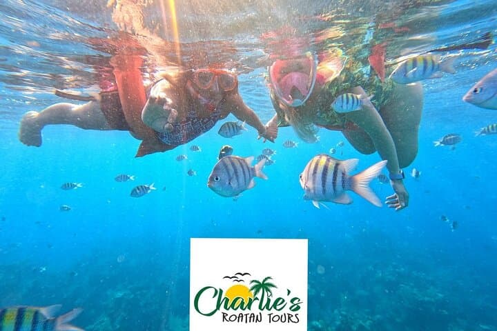 Half-Day Snorkeling at West Bay Reef and Beach Break, Roatan