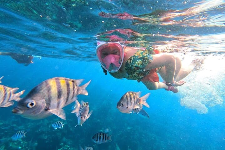 Half-Day Snorkeling at West Bay Reef and Beach Break, Roatan photo 6