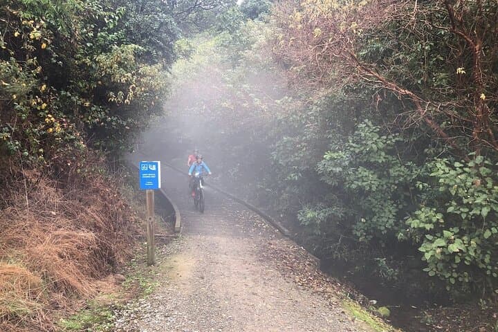 Spooners Tunnel Cycle Trail: 55km Downhill Ride from Kohatu to Nelson